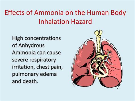 What Is Ammonia Leak Ammonia Poisoning Anhydrous Ammonia As Its My