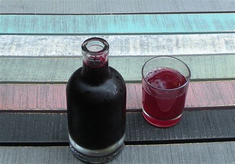Cassis-Sirup Rezept - ichkoche.at
