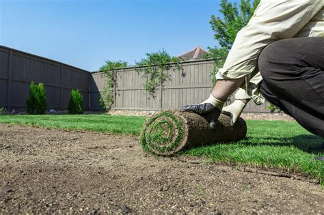 The Big Question: Is Sod Installation a DIY Project? - Modern Turf