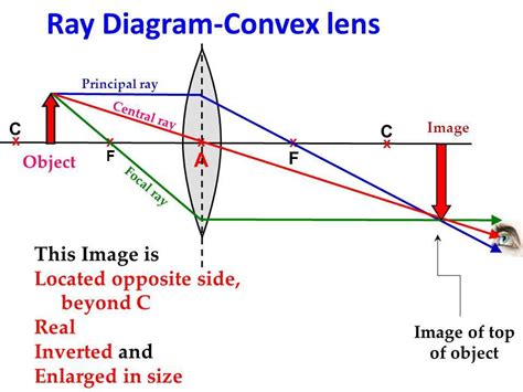 Understanding Ray Diagrams A Labeled Guide To Optics