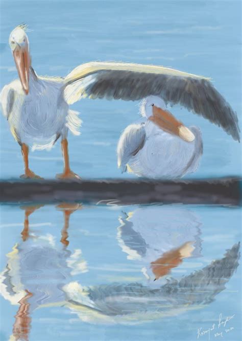 Just An Amateur Try R ProCreate