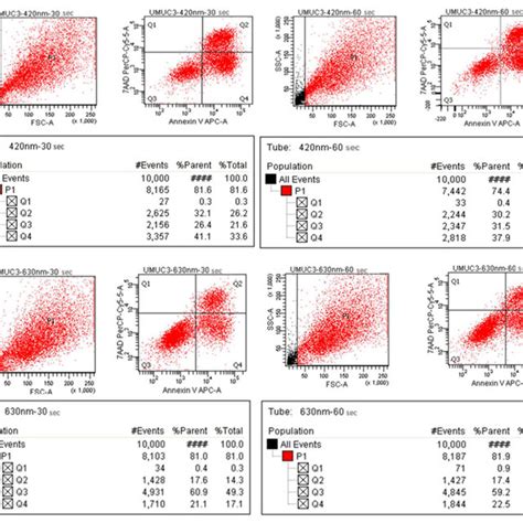 Annexin V 7 AAD Apoptosis Necrosis Analysis Of 30 S And 60 S PDT