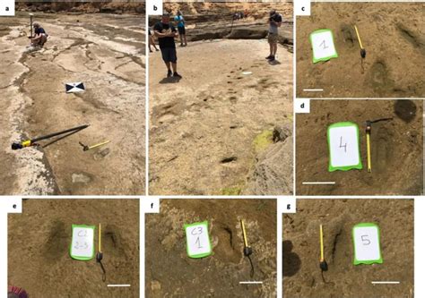 Investigadores descobrem um rasto de pegadas humanas antigo e único no