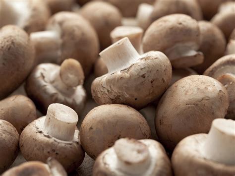 Iqf Mushrooms Kiril Mischeff