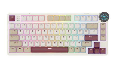 Rk Royal Kludge R Pro Wired Gaming Keyboard Gasket Mechanical Keyboard Rgb Hot Swappable Knob