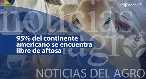 95 Del Continente Americano Se Encuentra Libre De Aftosa Noticiero