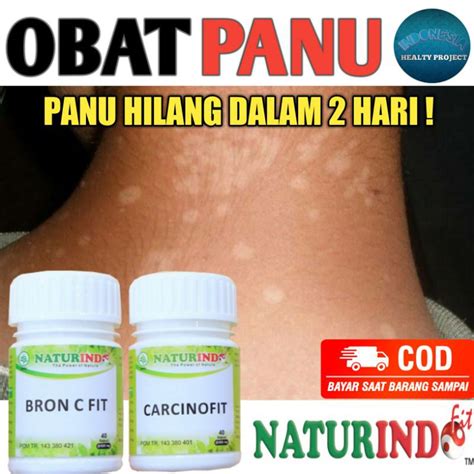 OBAT PANU MENAHUN PANUAN JAMUR KULIT KADAS KURAP KAPSUL OLES PALING