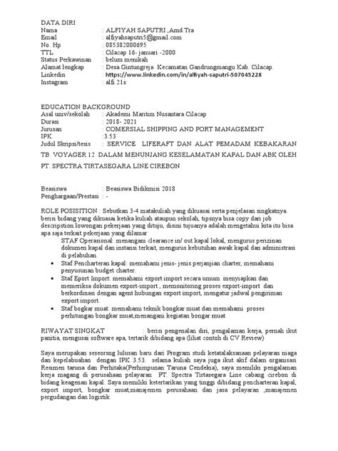 Format Cv Profesional Pdf