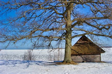Christmas In Estonia