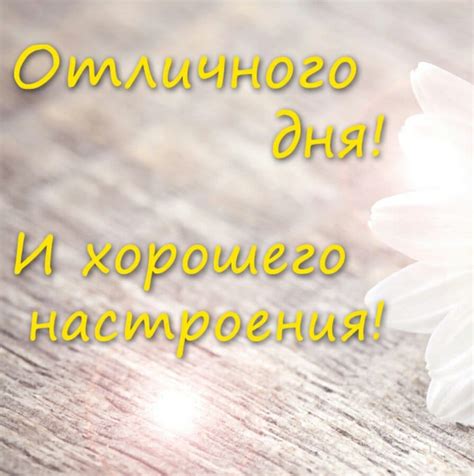 Маникюр Яна