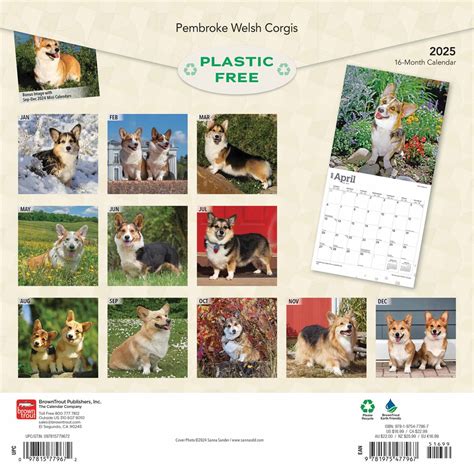 Pembroke Welsh Corgis Calendar 2025