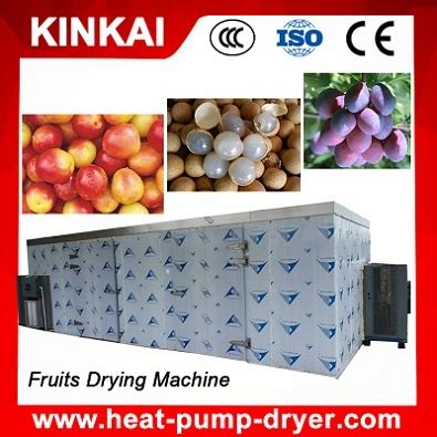 Hot Air Circulation Industrial Fruit Drying Machine Fruit Drying Machine And Industrial Fruit