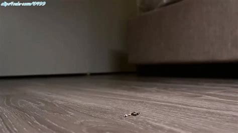 Megan Jones Class Has Disappeared Megan MEGAN At Your Feet MPG Amateur Soles