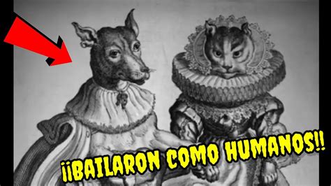 El Perro Y El Gato Que Bailaron Como Humanos Historias Parte