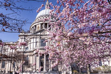 London Cheapo | A Cheapo's guide to London