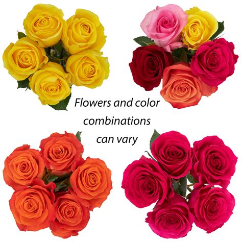 Most Beautiful Rose Flowers In The World Best Flower Site