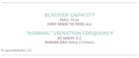 Bladder Basics: How The Bladder Works - Laura Meihofer