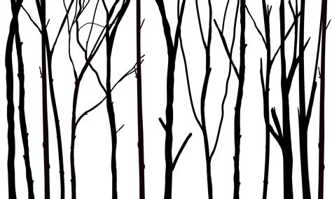 Black Branch Tree Or Naked Trees Silhouettes Hand Drawn Isolated Illustrations Vector