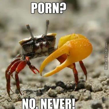 Große nippelte Ehefrau reitet einen Dildo xHamster