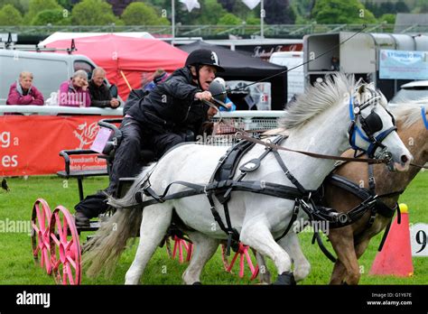 Huschen Fahren Stockfotos Und Bilder Kaufen Alamy