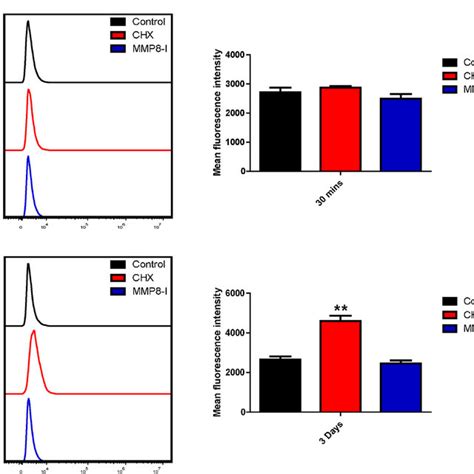 Measurement Of Intracellular ROS ROS Production And Quantitative