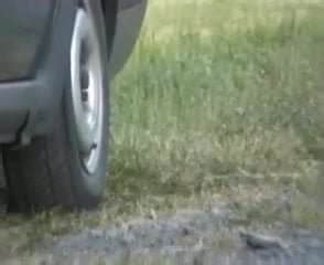 Buffalo Porn Videos Gay XXX XHamster