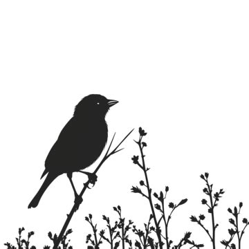 Bird Perching Sparrow Silhouette Sparrow Bird Silhouette PNG