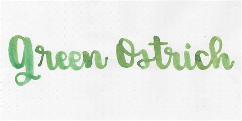 Ink Review 2516 Octopus Fluids Write And Draw Green Ostrich — Mountain