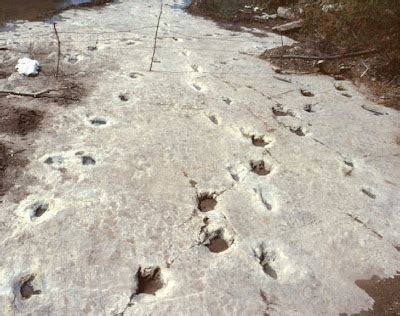 Giant Fossilized Human Tracks In The Paluxy Riverbed Prove The ...