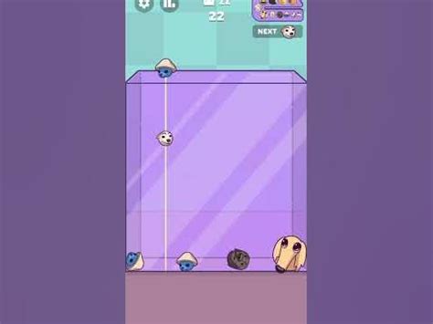 #котики #собачки #игра#shorts #игры#игра - YouTube