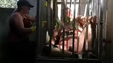 Eunuch Porn Videos XHamster