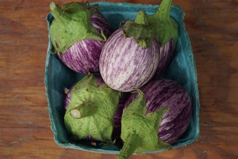 Eggplant Small Variegated Next Step Produce