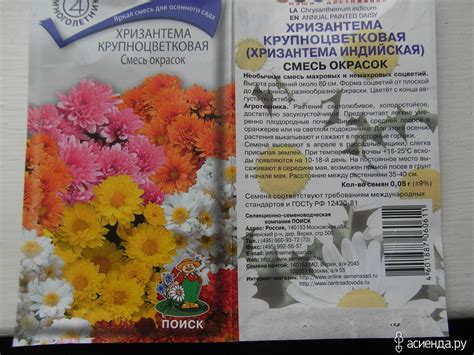 Ромашечки-ромашки: Группа Садовые цветы и флористика