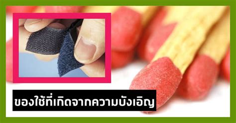 คลังความรู้ By Spokedark ไม่ได้ตั้งใจปัง 7 ข้าวของเครื่องใช้ที่ถูก