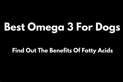 Omega 3 For Dogs Ultimate Guide The Benefits Of Fish Oil