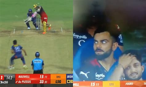 Video Virat Kohli And Glenn Maxwells Reaction To Faf Du Plessis 115m