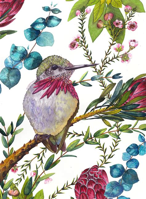 Ботаническая картина с колибри / Botanical watercolour on Behance