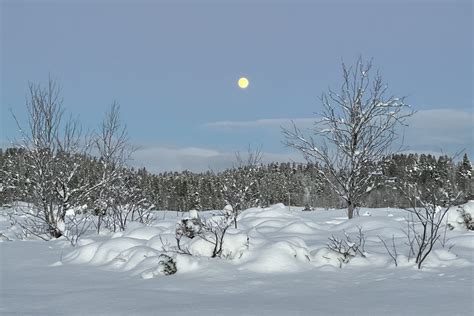 Nyheter Randaposten