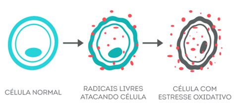 Radicais Livres O Que S O Como Se Formam E Como Se Defender Deles