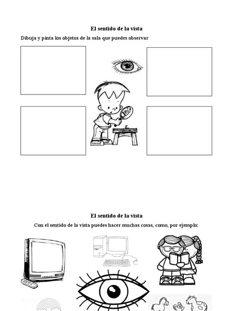 Assistir No Sentido De Ver - Actividades Preescolares: Sentido de la Vista | PDF