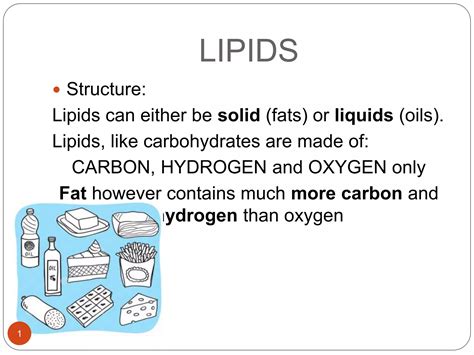 What Are Lipids Made Of Is A Fundamental Question For Nutrition - RYZE Superfoods
