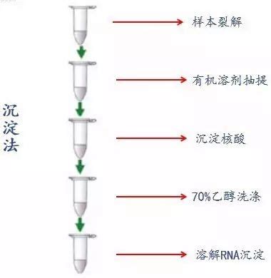 RNA提取的那些事 RNA专题 斯博利康 细胞生物学液体试剂专家