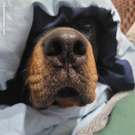 BayesiaNash Bayesianash Nude OnlyFans Leaks Fappening Page 2 FappeningBook