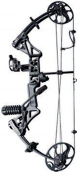 Best 5 Compact Triangle Compound Bows To Get 2022 Reviews