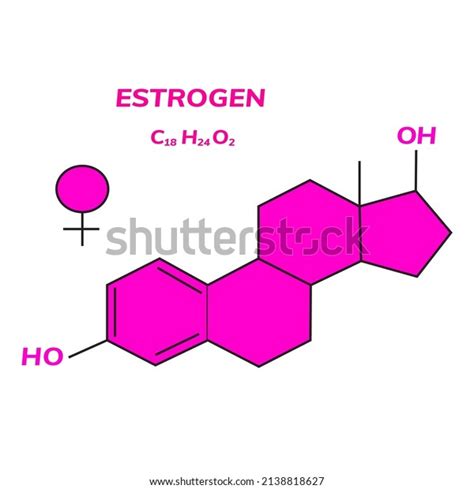 Estrogen Chemical Formula Woman Sex Hormone Stock Vector Royalty Free 2138818627 Shutterstock