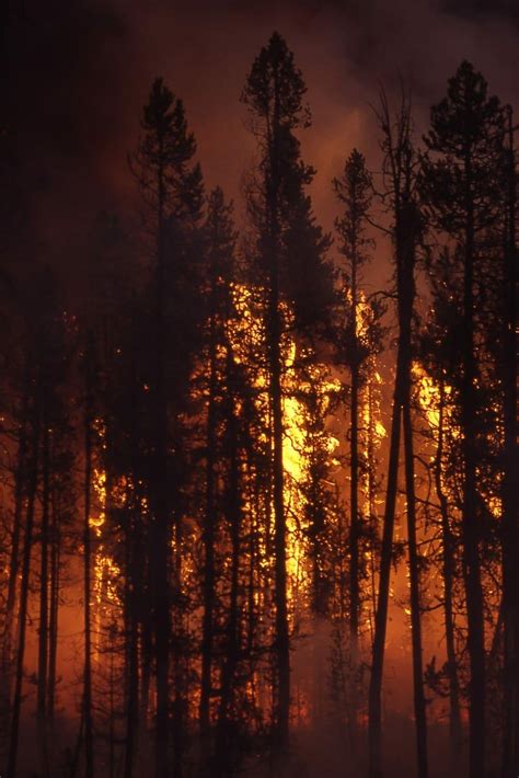 Wildfire Wallpapers Top Free Wildfire Backgrounds Wallpaperaccess