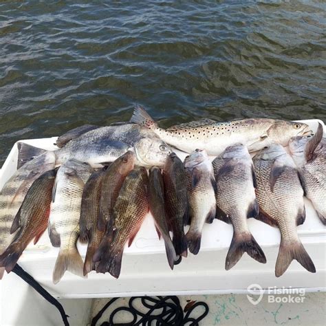 Jettie Rocks Fishing Charters Updated 2024 Prices
