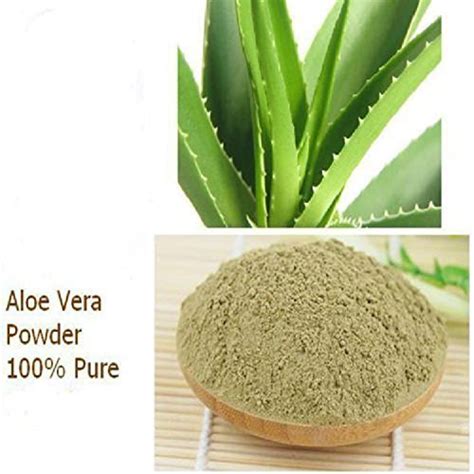 Pure Aloe Vera Leaves Powder Grade A At Best Price In Pali