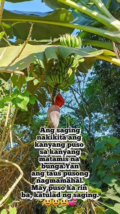 Saging Pusongsaging Highlights Everyone Words Puso Sagingan