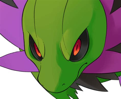 Daily Pokémon 635 Pokémon Amino